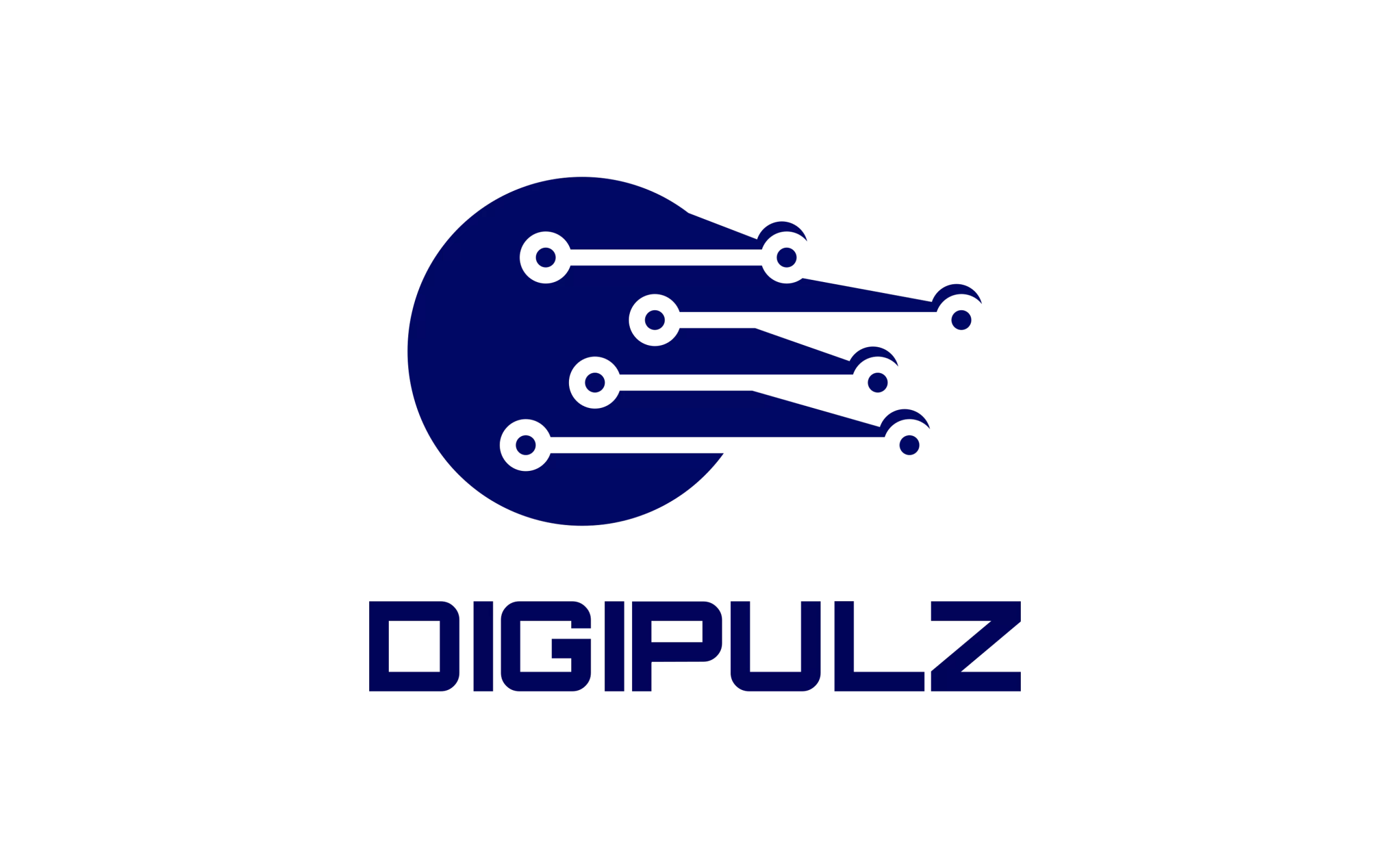 DigiPulz